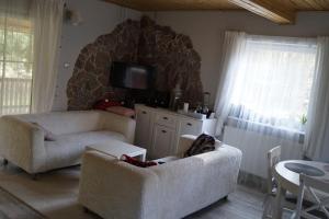 a living room with two couches and a tv at Uroczy domek do wynajęcia w Bogaczewie nad jeziorem Narie in Morąg