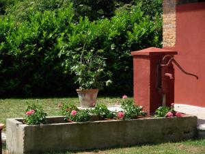Fotografia z galérie ubytovania Cascina Foresto v destinácii Cossato + 37 fotografií