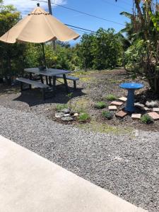 una mesa de picnic con sombrilla y un banco azul en Ohana Pua Hale, en Kailua-Kona