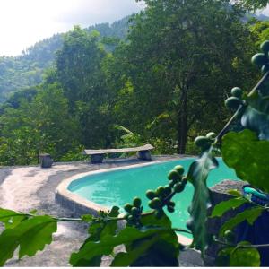 Bazén v ubytování Prince Valley Guesthouse nebo v jeho okolí
