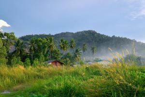 a house in a field with palm trees and a mountain at Yellow Cube at Lumut Cube Homestay Kontena in Lumut