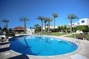 a large swimming pool with palm trees in the background at CORAL BAY suite Cyprus in Coral Bay