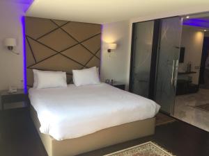 Voodi või voodid majutusasutuse Royal Maadi Hotel toas