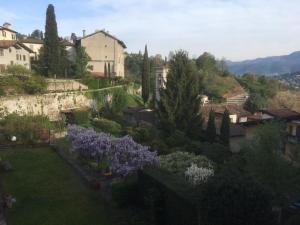 um jardim com flores roxas numa cidade em B&B Entro Le Mura em Bérgamo