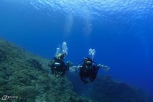 two people scuba diving in the blue ocean at Odyssey Divers Hostel in Xiaoliuqiu