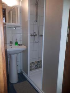a bathroom with a shower and a sink at Pensiunea Faast in Predeal