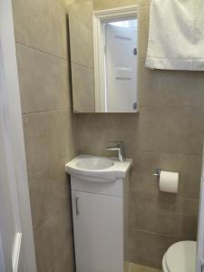 a bathroom with a sink and a mirror at Glendale Hyde Park Hotel in London