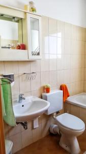 ein Badezimmer mit einem Waschbecken, einem WC und einem Spiegel in der Unterkunft Apartment Pepi in Biograd na Moru