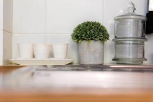 a shelf with two plants and plates on it at Giovio Loft - The House Of Travelers in Como +44 photos