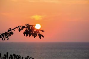 a sunset over the ocean with a tree branch at Hotel Capizzo in Ischia
