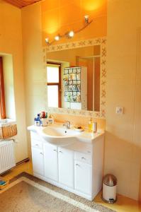 a bathroom with a sink and a mirror at Gajówka Sajczyce - gospodarstwo agroturystyczne in Chełm
