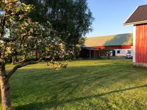 Zahrada ubytování Holms Heagård