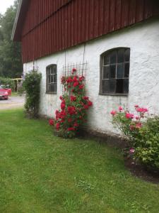 Zahrada ubytování Holms Heagård
