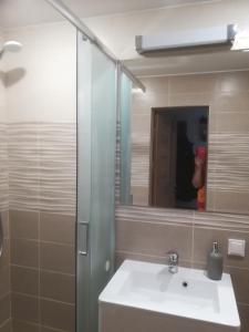 a bathroom with a sink and a mirror at Butas Vilniaus alėjoje in Druskininkai