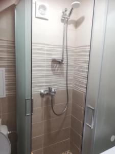 a shower with a glass door in a bathroom at Butas Vilniaus alėjoje in Druskininkai
