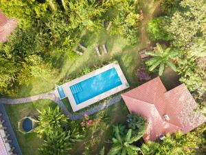 Taman di luar Hotel Casa Merlin