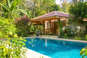 Kolam renang di atau dekat dengan Hotel Casa Merlin