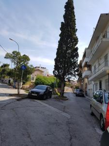 a car parked on the side of a street with a tree at Filopappou Hill Apartment in Athens
