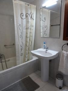 uma casa de banho com um lavatório e um chuveiro em Duplex Frain em Lesaka