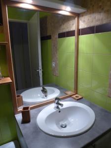 Koupelna v ubytování Confortable appartement T2 cabine Loudenvielle