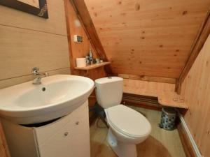 a bathroom with a toilet and a sink in a cabin at Gajówka Sajczyce - gospodarstwo agroturystyczne in Chełm +27 photos