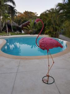 Bazén v ubytování Casa Flamingo nebo v jeho okolí