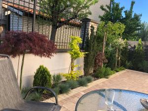 un patio con una mesa de cristal en un jardín en Vrnjacka Idila, en Vrnjačka Banja