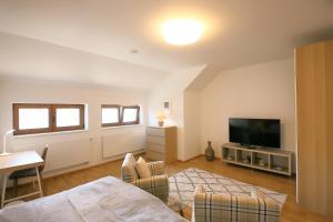 een woonkamer met een bed en een televisie bij Prague Expat House in Praag