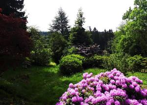 Zahrada ubytování Green Corner Nürburg