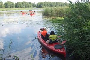 Widok na rzekę nieopodal tego domu wakacyjnego