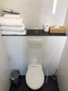a white toilet in a bathroom with towels on a shelf at Hôtel Le Mistral in Marseille