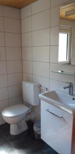 a bathroom with a toilet and a sink at Weinbergblick in Ramsthal