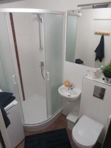 Kylpyhuone majoituspaikassa Family Apartment