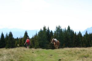 Hosté ubytování Panoramapension Etschblick