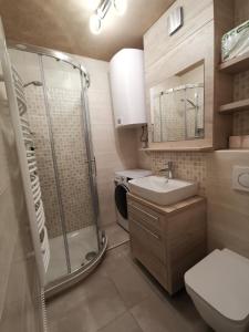 uma casa de banho com um chuveiro, um WC e um lavatório. em Studio Apartment Jež em Bovec