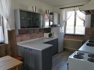 Kuchyň nebo kuchyňský kout v ubytování Apartmán Hugo + 36 fotografií
