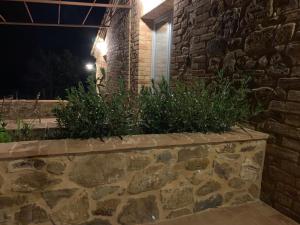 a stone wall with plants in it at night at Cordella In Valdorcia Truffle and Olive Oil Resort in Montalcino