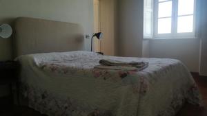 a bedroom with a bed with a blanket and a window at Villa Martelli in Belgirate