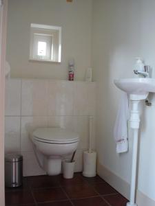 a bathroom with a toilet and a sink at 't Kruushuus in Welsum