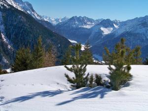 Naturlandschaft in der Nähe der Pension