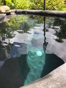 The swimming pool at or near Earthship Daintree 