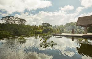 a pond in a park with trees and clouds in the sky at Four Seasons Resort Bali at Sayan in Ubud