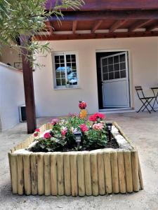 Giardino di Lemon Tree Courtyard