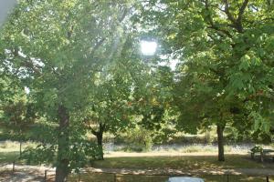 a group of trees in a park with a bench at La Maison du Canal de Rompsay - 5 min de la Rochelle in Périgny