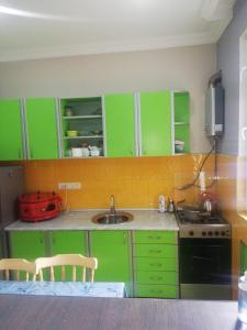 a kitchen with green cabinets and a sink at Our house in Borjomi