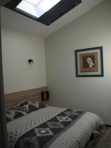 1 dormitorio con 1 cama con tragaluz en GITE AUX P'TITS OIGNONS, en Les Herbiers