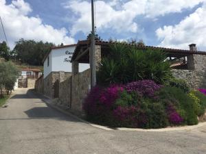 un edificio con flores púrpuras al lado de una calle en Casas no Terreiro, en Penacova