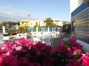 Gallery image of Hotel Le Palme in Sabaudia