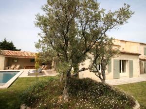 a tree in a yard next to a house at Grandeur Villa in Eygali res with Pool in Eygalières
