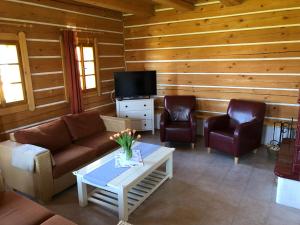 TV a/nebo společenská místnost v ubytování Villa Podhůří